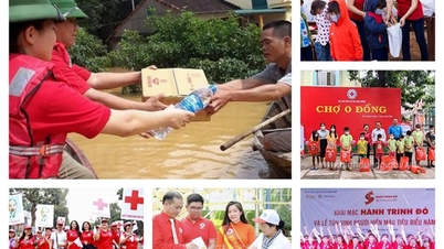 ข้อสรุปของคณะกรรมการกรมการเมืองและสำนักเลขาธิการเกี่ยวกับโครงการปรับโครงสร้างและปรับปรุงองค์กรภาคประชาชนที่ได้รับมอบหมายภารกิจจากพรรคและรัฐ และโครงการประเมินผลการดำเนินงานของสหกรณ์แห่งเวียดนามและสมาคมการค้าและอุตสาหกรรมแห่งเวียดนาม