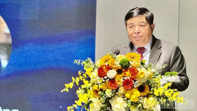 Mở rộng hợp tác đổi mới sáng tạo giữa Pháp và Việt Nam