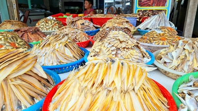 Obstacles in Vietnamese standards regarding contamination limits in food.