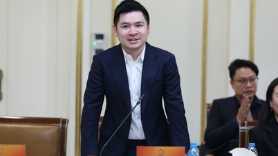 លោក ដូ វិញ ក្វាង អនុប្រធានក្រុមហ៊ុន T&T Group ក្លាយជាអនុប្រធានក្រុមហ៊ុន HANOISME។