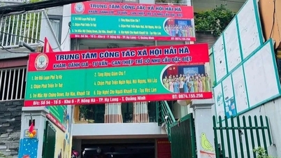 El Ministerio de Salud ha solicitado a la provincia de Quang Ninh que revise todas las instalaciones de asistencia social.