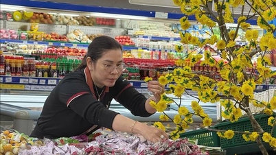 Întărirea controlului asupra originii mărfurilor în timpul sezonului sărbătorilor Tet.