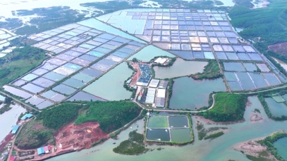 Barragem de Ha: Desenvolvimento da agricultura ecológica e aplicação de ciência e tecnologia de ponta.