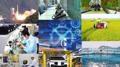Lignes directrices pour la détermination de l'allocation budgétaire aux activités scientifiques, technologiques et d'innovation.