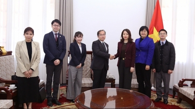 Vietnam and Japan strengthen coordination for APEC 2027 and CPTPP.