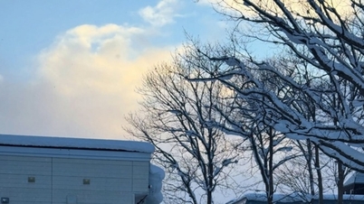 Niseko Hanazono: Sebuah resor ski di Jepang yang akan dikunjungi keluarga Tang Thanh Ha pada awal tahun 2026.
