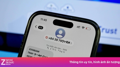 Online scams cause trillions of dong in losses.