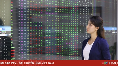 Capitalizarea de piață a HOSE depășește 72% din PIB, punând bazele dezvoltării unei noi piețe.