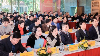 우리는 비효율적인 대중 조직들을 과감하게 재편해야 합니다.