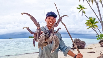 Los turistas vietnamitas viven un estilo de vida salvaje en una isla "misteriosa", comiendo langosta y peces raros todos los días.