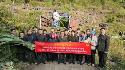 Hỗ trợ thức ăn chăn nuôi cho các hộ gia đình xóm Sỹ Điêng, xã Lũng Nặm - Báo Cao Bằng điện tử