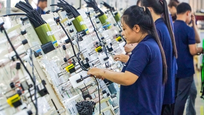 Der höchste Bonus zum chinesischen Neujahr betrug fast 293 Millionen VND.
