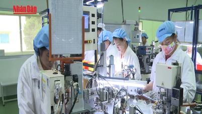 [Video] Se urmărește ca 1-3 întreprinderi de stat să se număre printre cele mai mari 500 de companii din lume până în 2030.