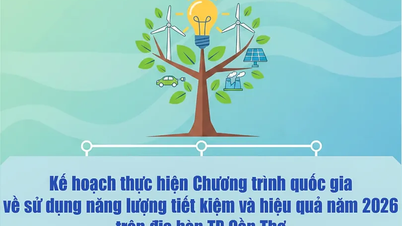 [Infographie] Plan de mise en œuvre du Programme national d'économie d'énergie et d'efficacité énergétique dans la ville de Can Tho en 2026