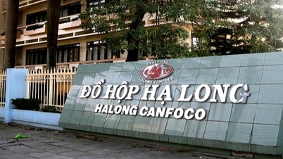 Caso de 130 toneladas de carne de cerdo enferma: Novaland posee indirectamente acciones de Ha Long Canned Food.