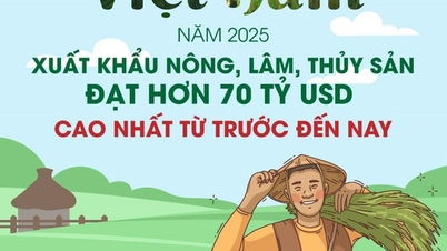 Xuất khẩu nông, lâm, thủy sản vượt 70 tỷ USD năm 2025