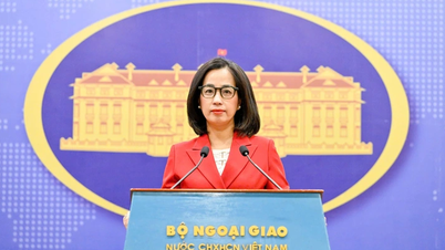 Vietnam'ın dış ilişkileri ve diplomasisi için dinamik bir yıl oldu.
