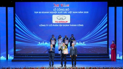 TC Group ble kåret til en av de 50 beste vietnamesiske bedriftene i 2025.