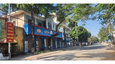 Ohledně případu více než 130 tun masa kontaminovaného africkým morem prasat, nové informace od společnosti Ha Long Canned Food Joint Stock Company.