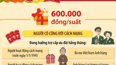 Zwei Stufen von Geschenken für diejenigen, die sich um die Revolution verdient gemacht haben, anlässlich des Mondneujahrs des Pferdes (Bính Ngọ).