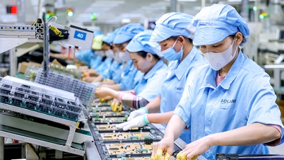 2025년 베트남과 네덜란드 간 무역 및 투자 관계