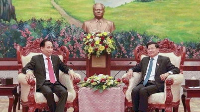 ผู้แทนพิเศษของเลขาธิการใหญ่เดินทางเยือนลาวเพื่อแสดงความยินดีในการประชุมสมัชชาแห่งชาติครั้งที่ 12 ของพรรคคอมมิวนิสต์ลาว