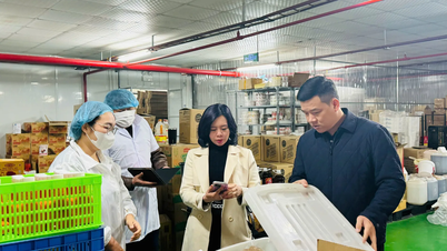 Hanoi verschärft die Lebensmittelsicherheitskontrollen in den Stationen im Vorfeld des chinesischen Neujahrsfestes (Jahr des Pferdes).