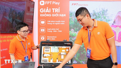 Khanh Hoa usiluje o to, aby se v indexu digitální transformace umístila mezi předními provinciemi v zemi.