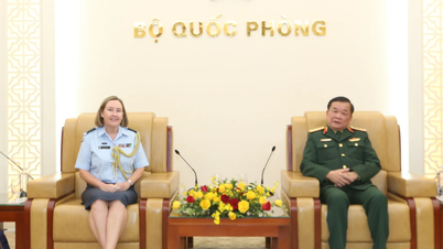 Vietnam menghargai dan memperluas kerja sama pertahanan dengan Selandia Baru dan Turki.