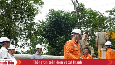 Công ty Điện lực Thanh Hóa: Vững vàng vượt khó, bảo đảm điện cho phát triển kinh tế - xã hội địa phương