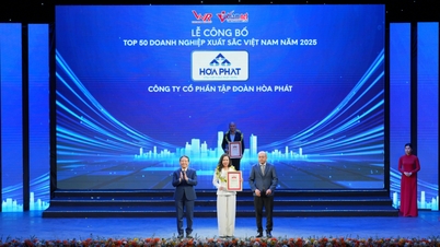 Компания Hoa Phat уже 18-й год подряд признается одним из крупнейших предприятий Вьетнама.
