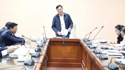 El Ministerio de Salud celebró una reunión con Da Nang y Phu Tho para discutir y acordar la transferencia de dos hospitales.