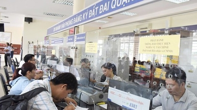 Bộ NN&MT thông tin về hoạt động của văn phòng quản lý đất đai