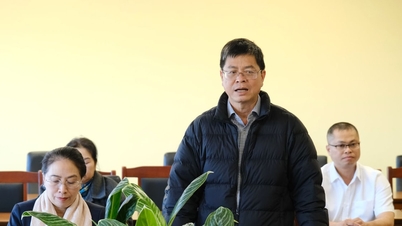 De provincie Lam Dong heeft ermee ingestemd om de luchthaven Lien Khuong vanaf 4 maart te sluiten voor reparaties.