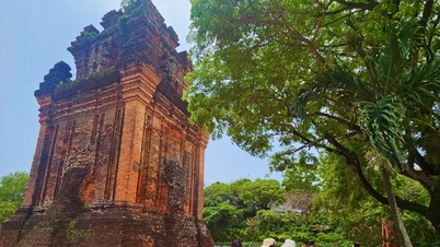Lập quy hoạch bảo tồn di tích Tháp Nhạn định hướng tạo thành tuyến du lịch văn hóa Chăm