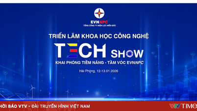 Technologiefestival der Elektrizitätswirtschaft in Nordvietnam