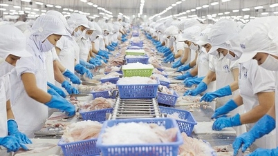 Regelgeving betreffende de beoordeling en certificering van de voedselveiligheid van geëxporteerde aquatische producten.