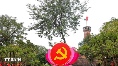 Vietnam affirms its increasingly prominent position on the international stage.