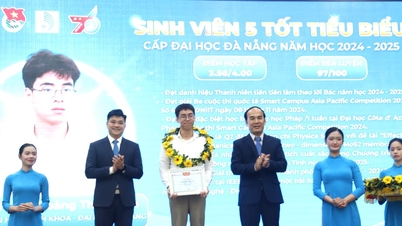 Kesatuan Pelajar Universiti Da Nang memuji pelajar cemerlang dan menganugerahkan Anugerah Burung Putih.