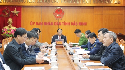 2025년에는 전국적으로 12만 3천 건 이상의 무역법 위반 사례를 적발하고 처리했습니다.