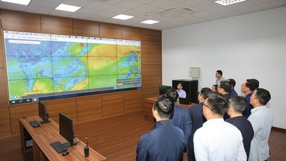 BSR פועלת ביעילות הודות לטרנספורמציה דיגיטלית.