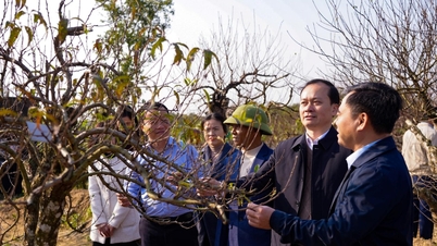 เปิดตัว "ชมรมเกษตรกรดีเด่นด้านการผลิตและธุรกิจ"