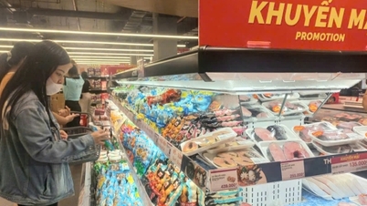 ہیو سٹی: سپلائی کے ذرائع کو فعال طور پر محفوظ کرنا اور گھوڑے کے نئے قمری سال کے لیے مارکیٹ کو مستحکم کرنا۔