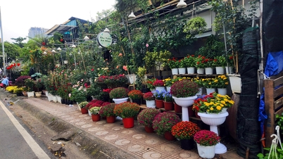 ตลาดดอกไม้และไม้ประดับสำหรับเทศกาลตรุษจีนเริ่มขึ้นก่อนกำหนด โดยมีกำลังซื้อที่ระมัดระวัง