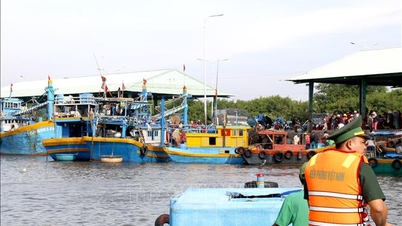 Die Provinz Lam Dong kontrolliert die Situation, um zu verhindern, dass Fischereifahrzeuge, die die Anforderungen nicht erfüllen, den Hafen verlassen.