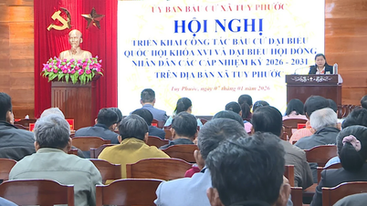 ការបោះឆ្នោត និងតួនាទីសម្រេចរបស់ប្រជាជន។