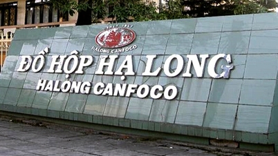 De identiteit van de voorzitter van Ha Long Canned Food Company en de bedrijfsresultaten trekken veel aandacht.