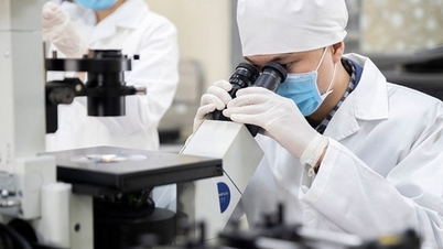 Strengthening science and technology potential through a synchronized support mechanism.