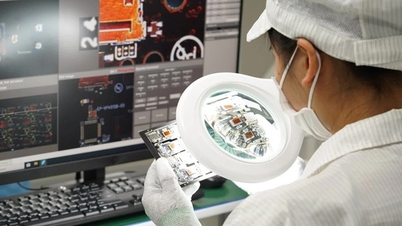 Empowering local authorities in certifying businesses and high-tech incubators.