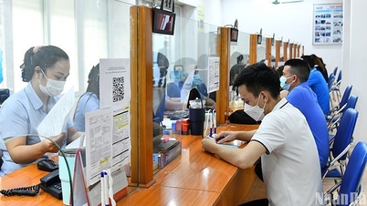 Основные нововведения Указа 374/2025/ND-CP об организации страхования от безработицы.